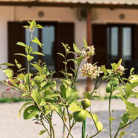 Prázdninový dům Alonia View House Asklipiion