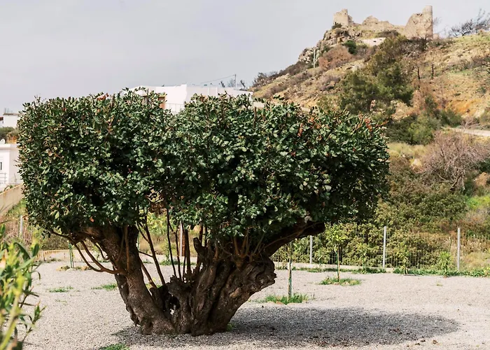 Alonia View House Vakantiehuis Asklipiion