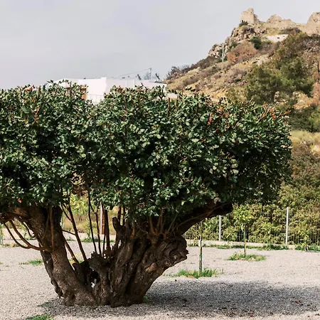 Alonia View House Case de vacanță Asklipiion